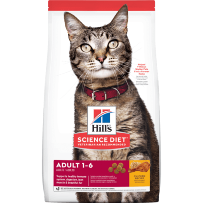 hills gato adulto 1 6